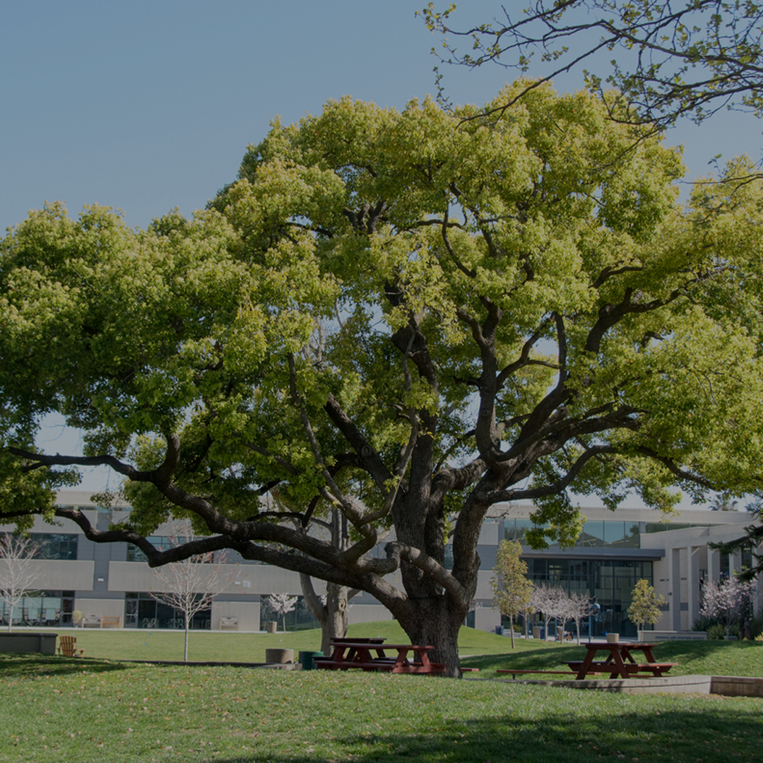 New Homepage Landing Photo