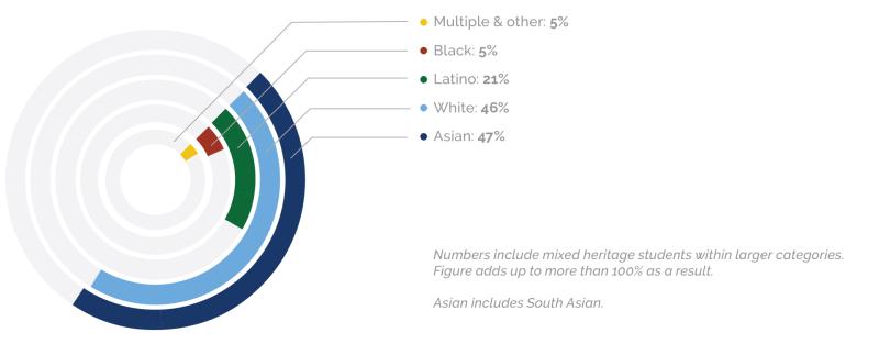 Student Body Chart 2025