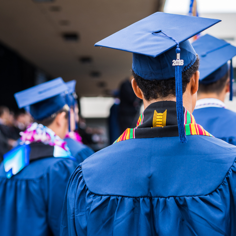 Graduate at Graduation